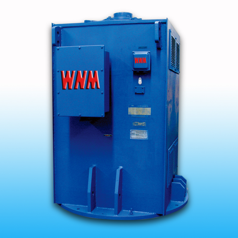 YL、YLKK系列立式電機(jī)（6KV/10KV）